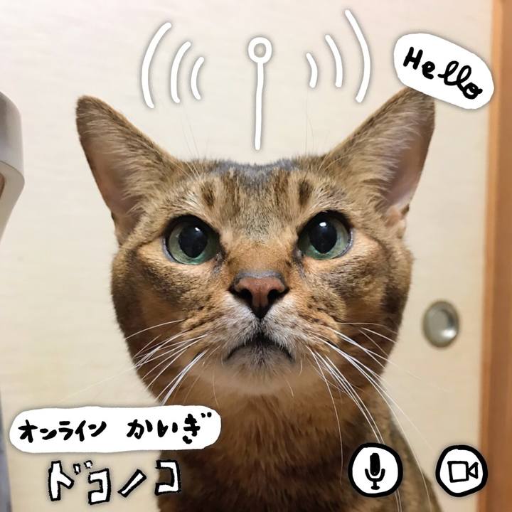 9b08e10a 639c 4ad2 96d2 4ac683f77f47 1590677229812