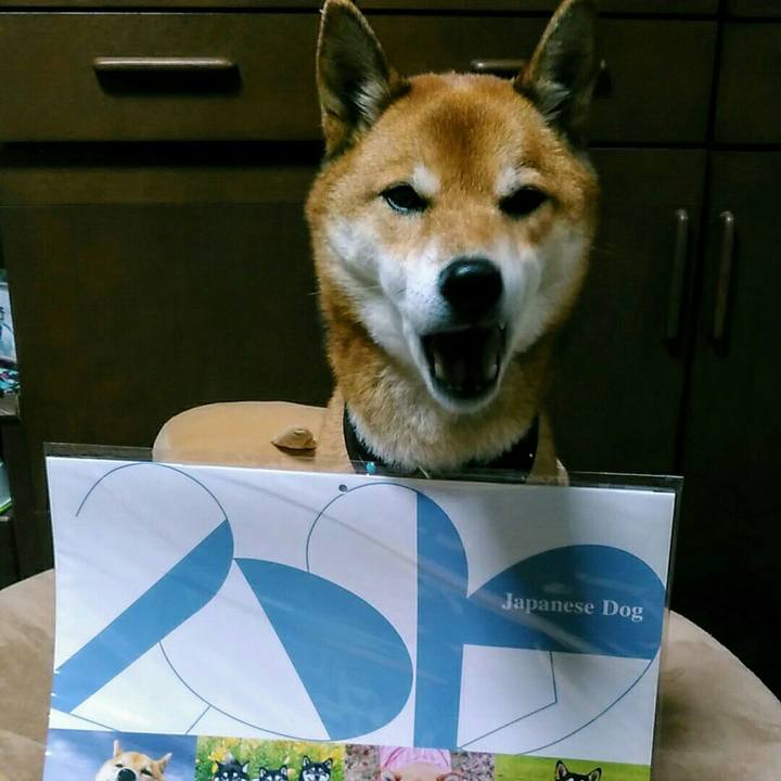 9b08f886 0a83 4e92 b05b d9371fc3a89c 1576144978629