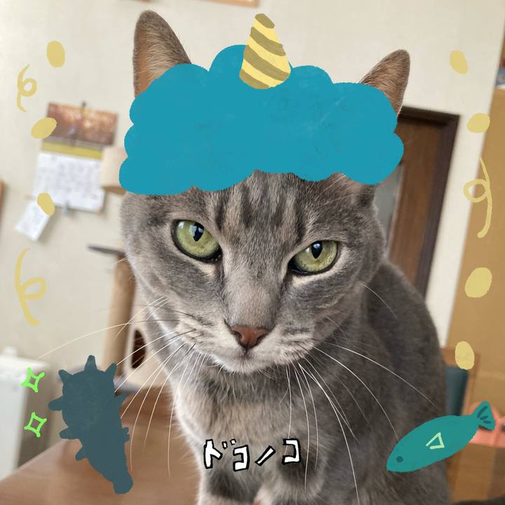 9b08f9e4 2fe5 4fff b4f2 debd30ca8364 1706941957993