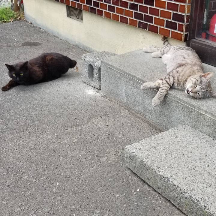 9b0920d3 879f 4413 9fec 1b00019c20f6 1688017938703