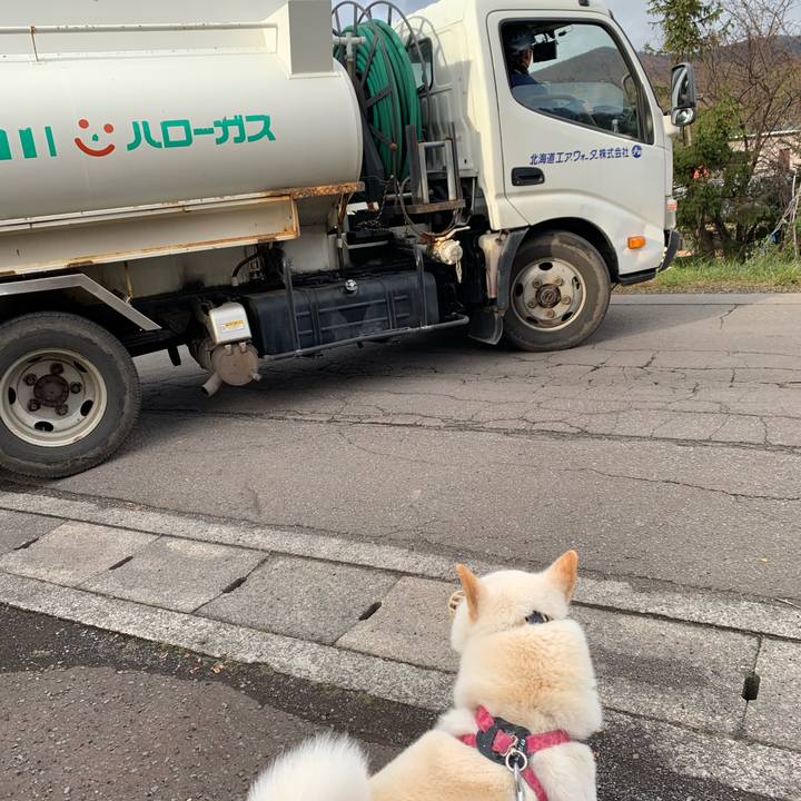 9b0930bf cfa5 40f6 87a5 198fb9644100 1573086973911