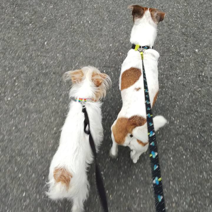 9b096298 0683 4ff8 81b5 5857146de970 1526167860406