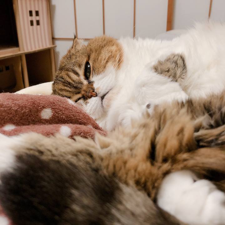 9b098776 88d0 4ba8 be26 dd2e4e38b7ad 1606034523805