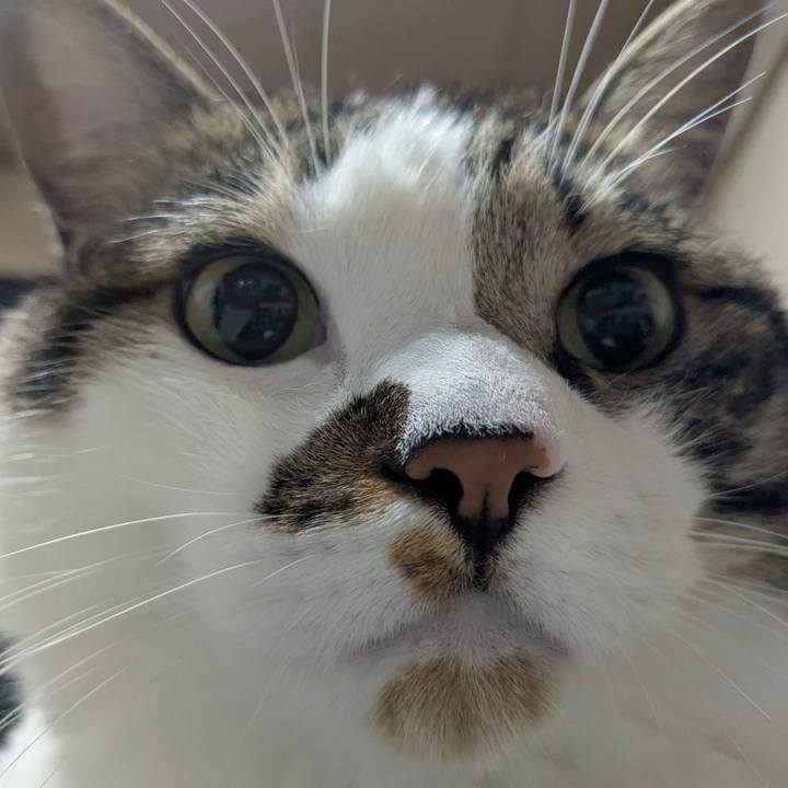 9b09974b adf5 4352 b119 c22e638f6fff 1751316836448