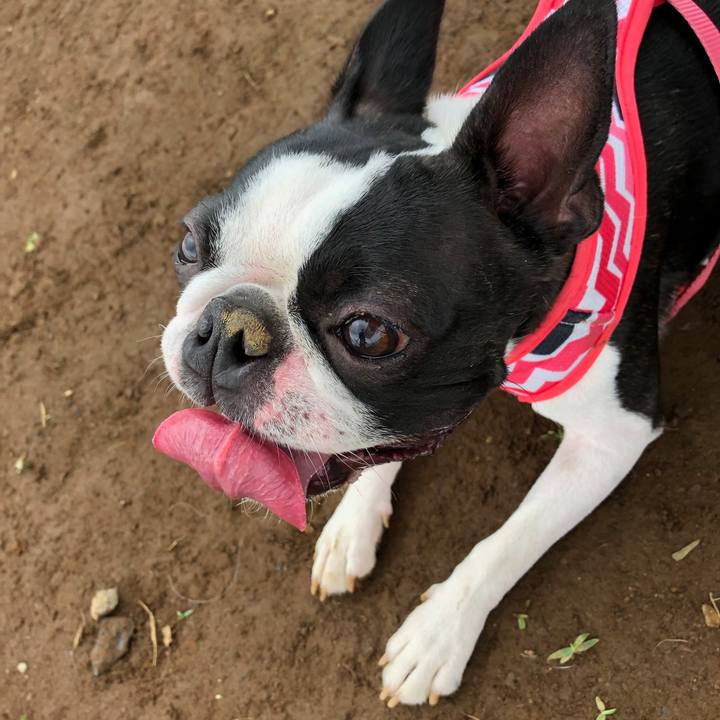 9b09d29c 3ff7 42df 9cd7 5e7c553dcb5d 1529233355953