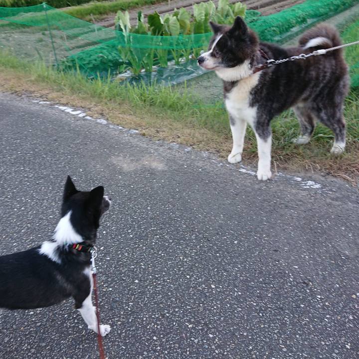 9b09e9ce e96f 457e a557 12ae56a5d2da 1597751365047