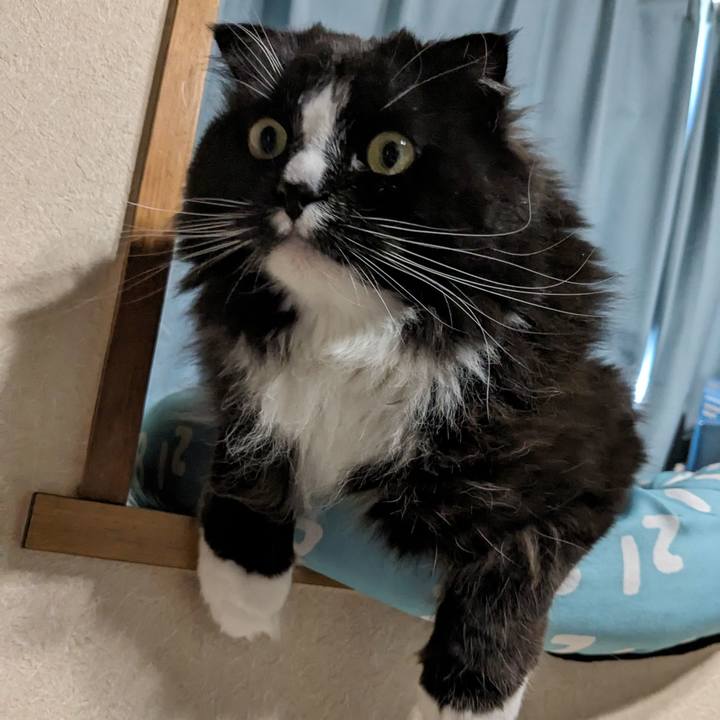 9b0a1195 0ff9 47c3 a70a 5a75432c81fa 1714882349579