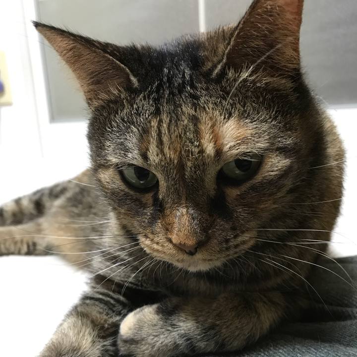 9b0a11d7 f0f8 43cf 9a03 3400515410eb 1519299860555