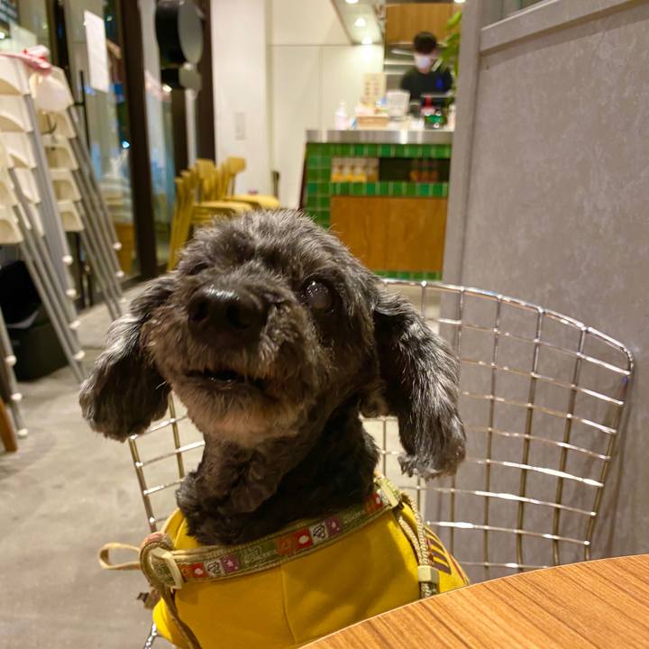 9b0a28b3 f307 47e4 a999 f8c7dbc48965 1585114814230