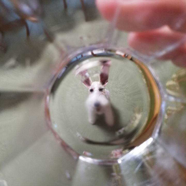 9b0a73c4 ffdb 4fac a677 af7ded350475 1565935594677