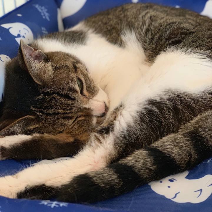 9b0a836d e141 4b9e 8600 8983f1f55bb3 1568855679413