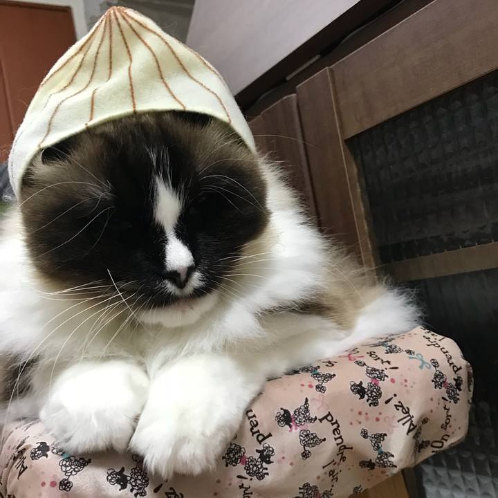 9b0ac101 cde9 46bd a6ea 256db9b2f3c2 1520836007581