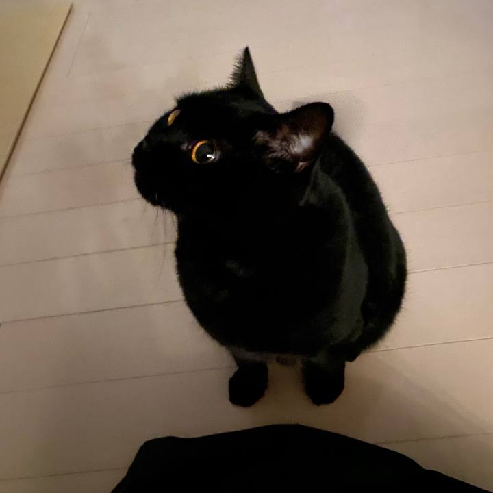 9b0ae583 074f 4816 821f 82a05629776e 1701263623014