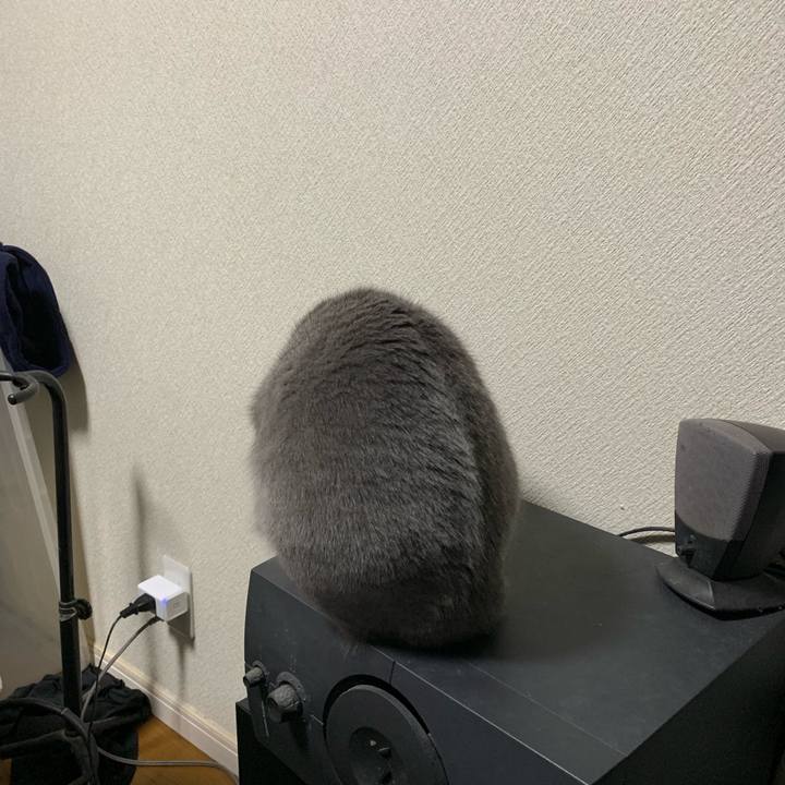 9b0b4bd3 5cd2 43a3 a07e 9d3c0d6c435d 1575280954430