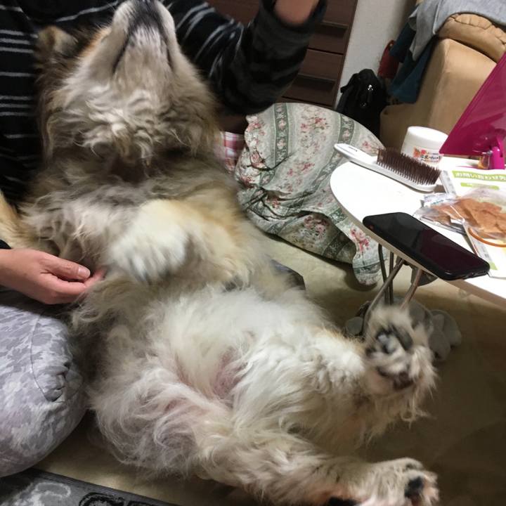 9b0b7f5a 87d2 4229 8054 b26836236816 1576023578534