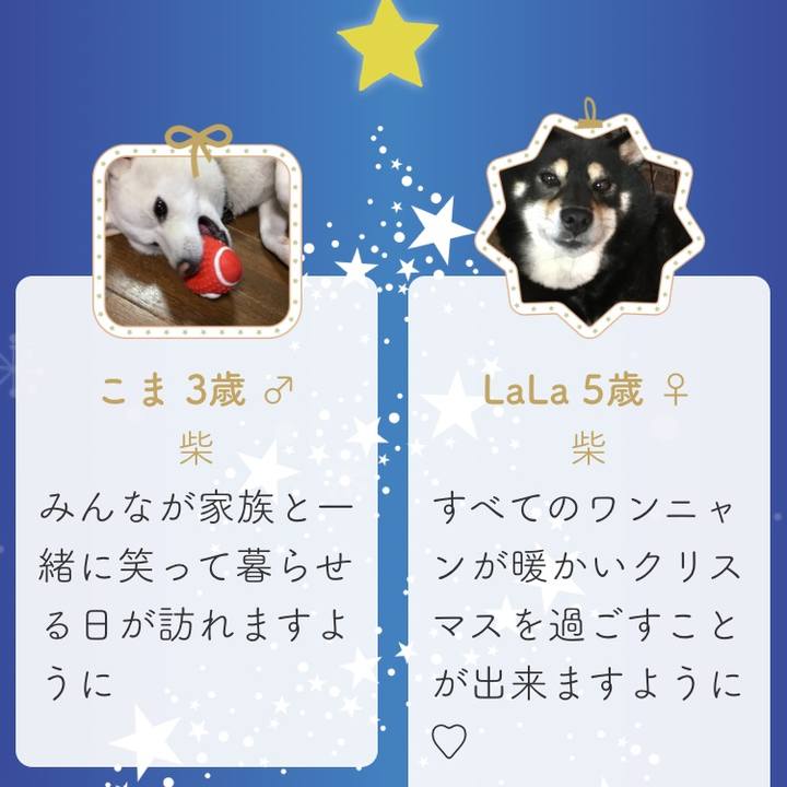 9b0b8536 e8e3 4b07 bda9 10649e2c6468 1544718760421