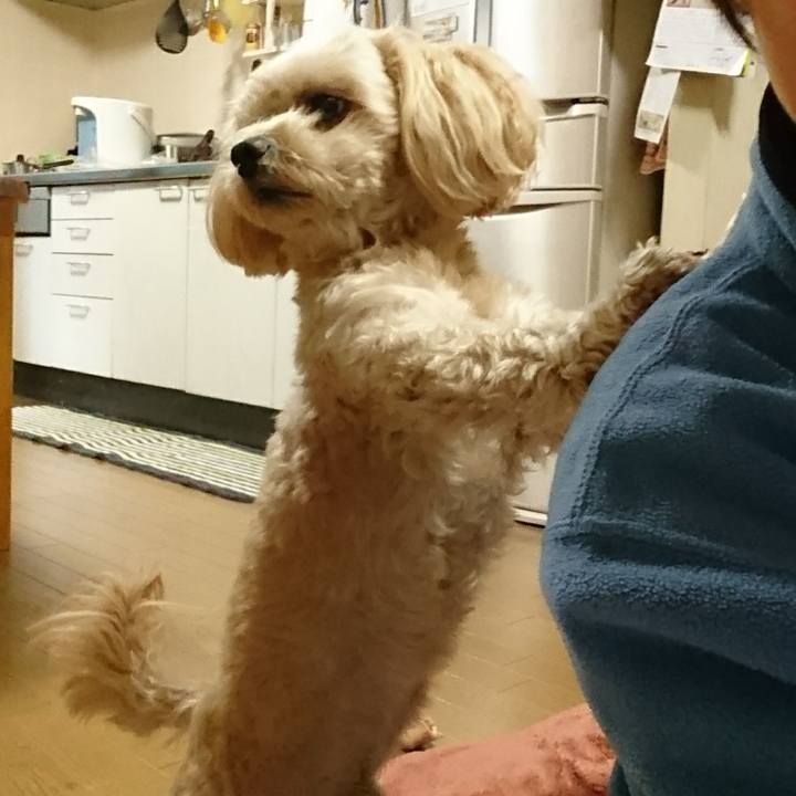 9b0ba249 fca4 4c53 baa4 bc072d360380 1515383319364