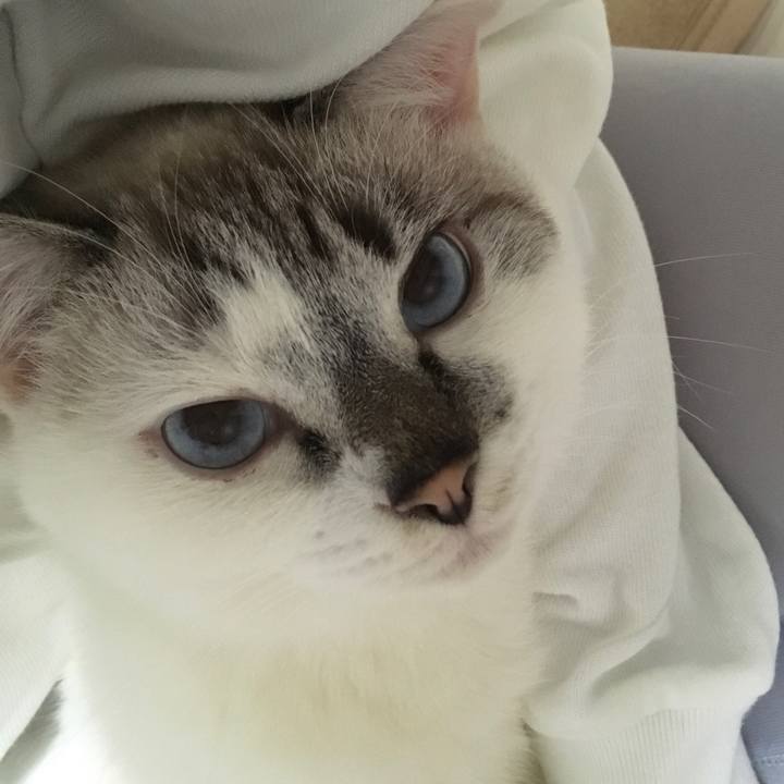 9b0ba66f d8f6 4556 bfa6 ab81b4da3eb4 1509187167531