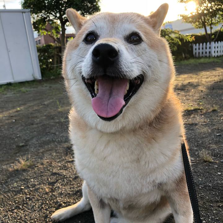 9b0bb6da cedc 4b3a b8a1 2ede601872ec 1531135196567