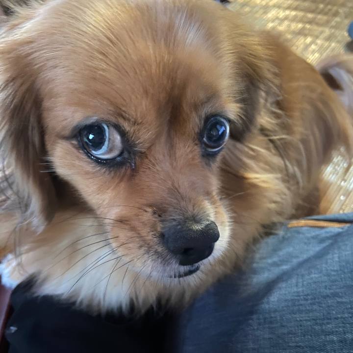 9b0be7fd 2c8f 41ed b482 71b7a4490bc9 1664061029015