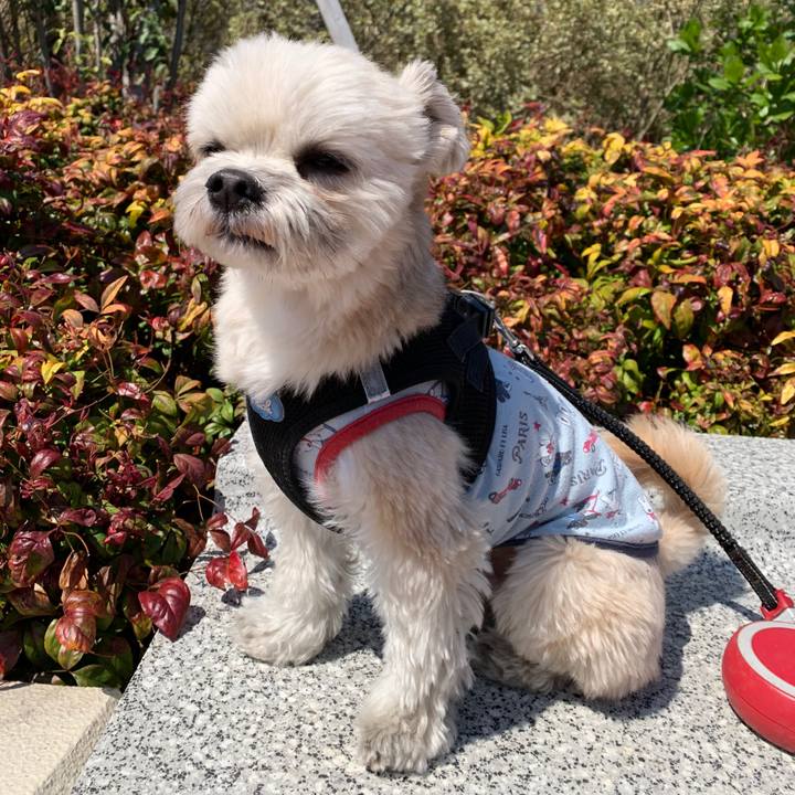 9b0bec1f 2445 45c8 a3e4 65a210330e1b 1554291613178