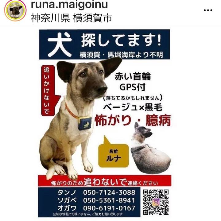 9b0c2bad 9829 4600 a523 8a428fae1eea 1607786385912