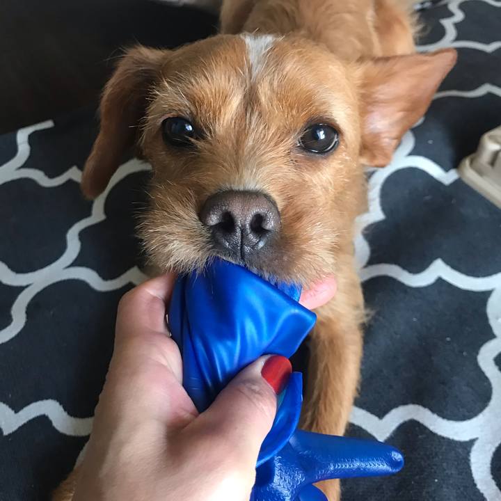 9b0c33ab 025b 4dec aa78 eb09f2152e13 1557302280945