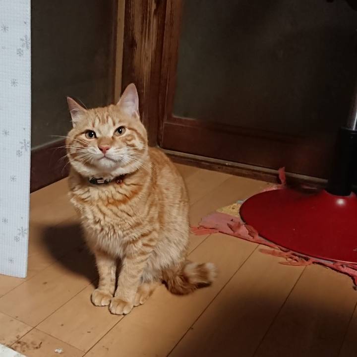 9b0c98df 15c9 4f08 acfa b148d253da8d 1646859816610