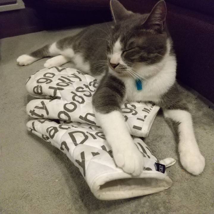 9b0cb813 4bff 4496 af1a b483b5d1f5e9 1623879781884