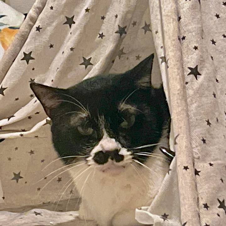 9b0cc5a8 eb5f 4af8 94e8 7df926baae45 1684663513424