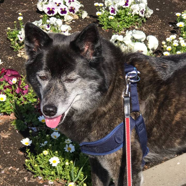 9b0ce5a4 cc4f 4cde b6bd 15ca21d92075 1556799762500