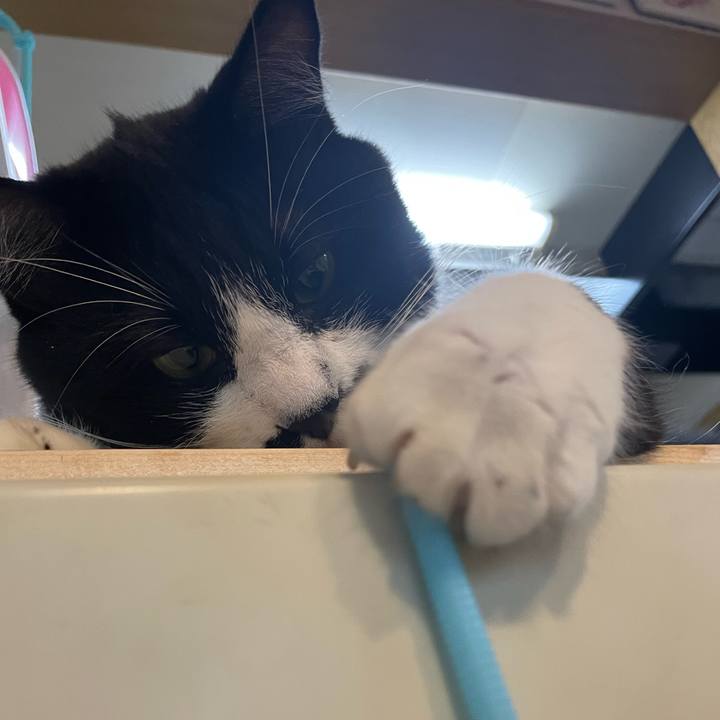 9b0d00a4 5968 4d77 acc7 3dfbfd47564f 1656888326263