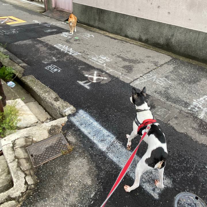 9b0d1681 6835 470d a9c6 0c949c011e2f 1594007261855