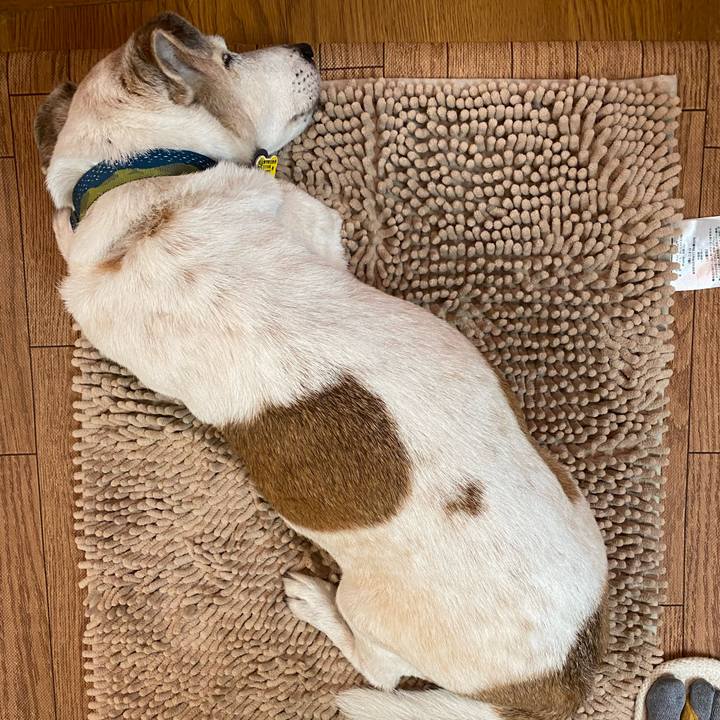 9b0d2217 f91d 4752 bb58 866dcdc6234e 1685620763882