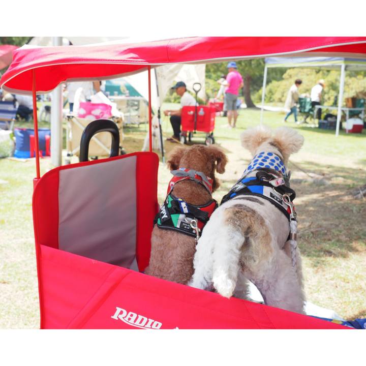 9b0d523b 6859 4ae3 bfcf 09318ba16535 1557666384111