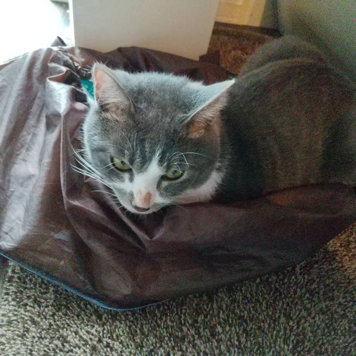 9b0d5521 29c6 4742 9065 b718b381320f 1601080437478