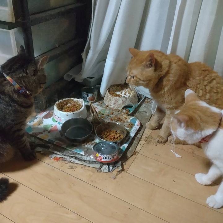 9b0d7969 b151 46ea 9180 8404aa3eb86e 1756720115188