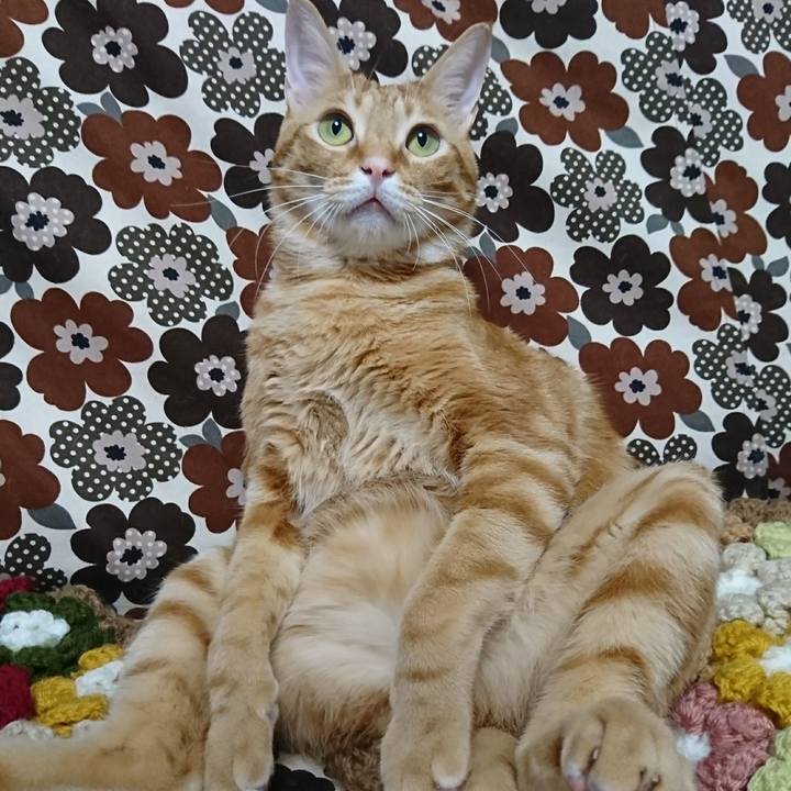 9b0d86b3 f551 4464 997f 08b64f6b4fd1 1517654820205