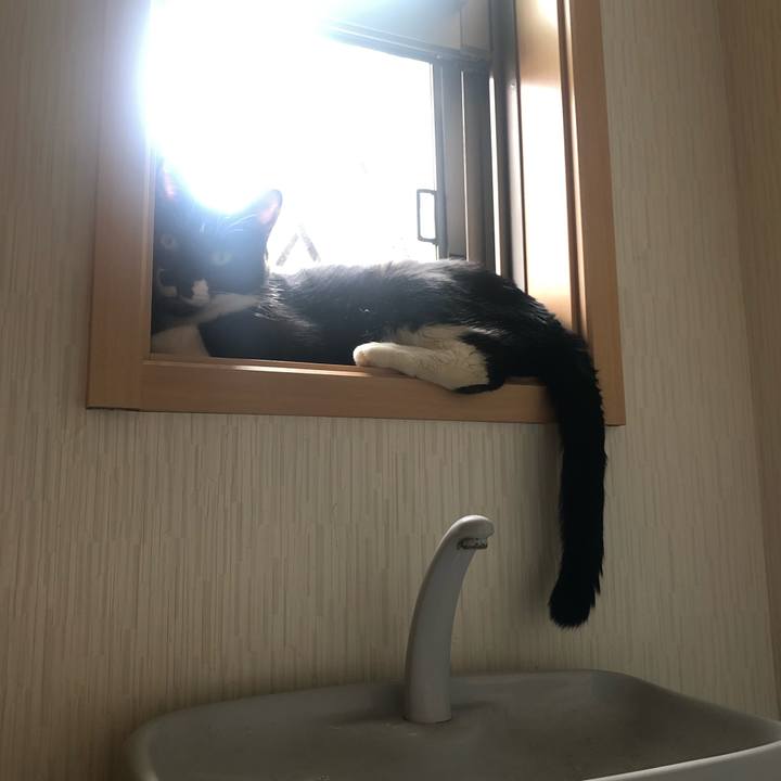 9b0da2b3 6275 477b a8bd 4ad2d4161894 1597201921789