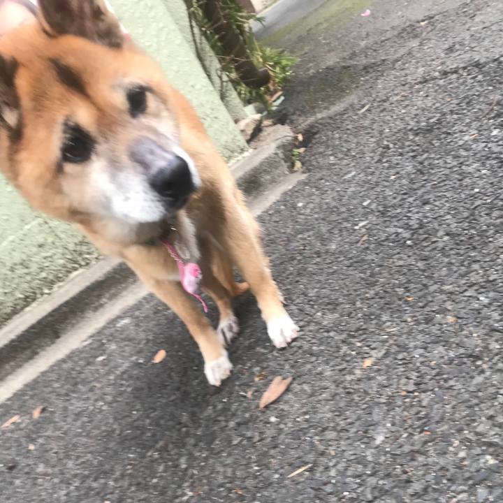 9b0da2fd 6d4a 4c9b ac15 b8a3eb5264ec 1552345958139