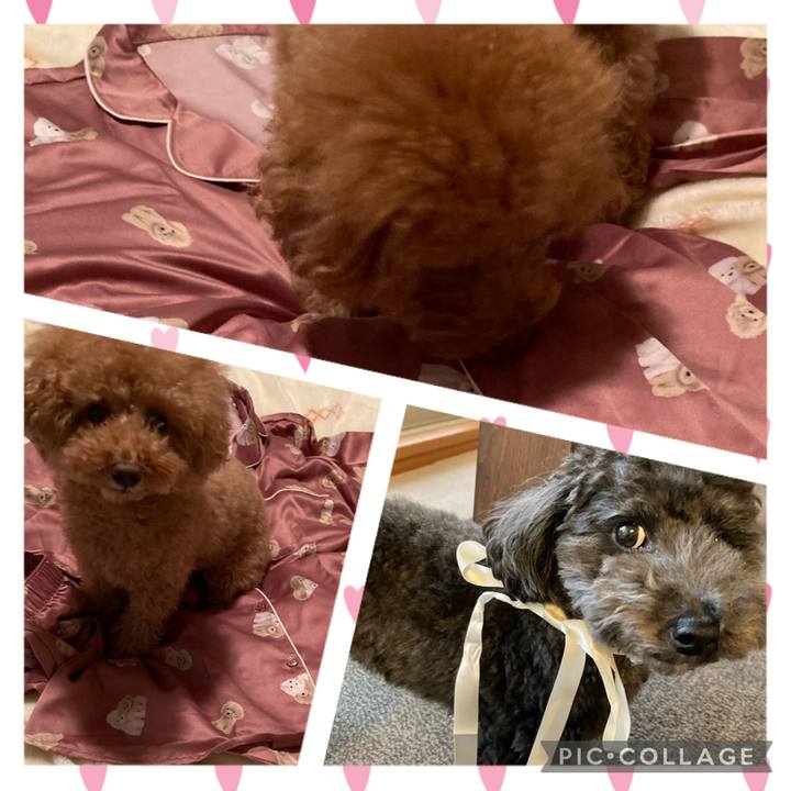 9b0db0bf a75d 4447 b421 aa9e85e25e4a 1668500236599