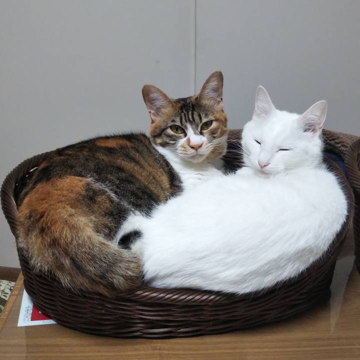 9b0db3e2 2a1c 4459 b24a 15d49360cc6a 1684102133676