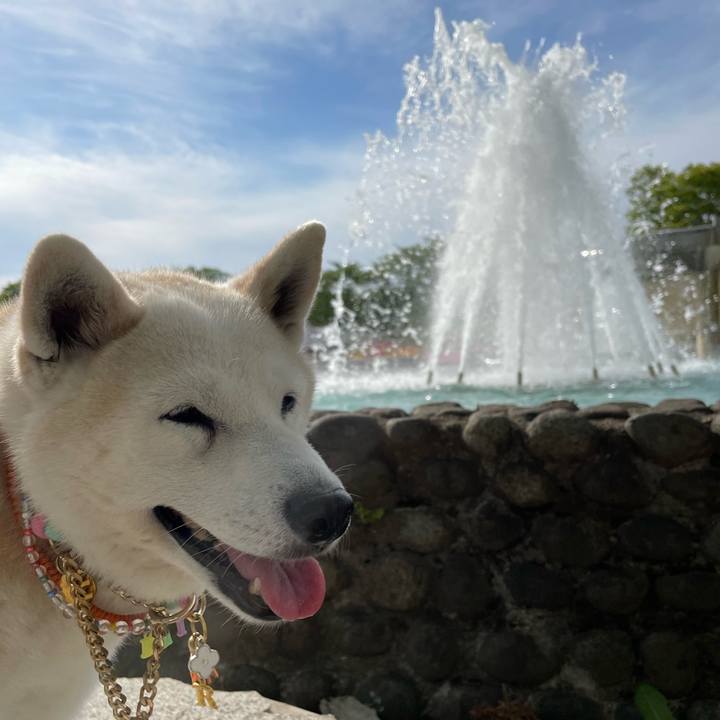 9b0ddf46 33b2 449b 8c8f 187d1942549f 1683369051480