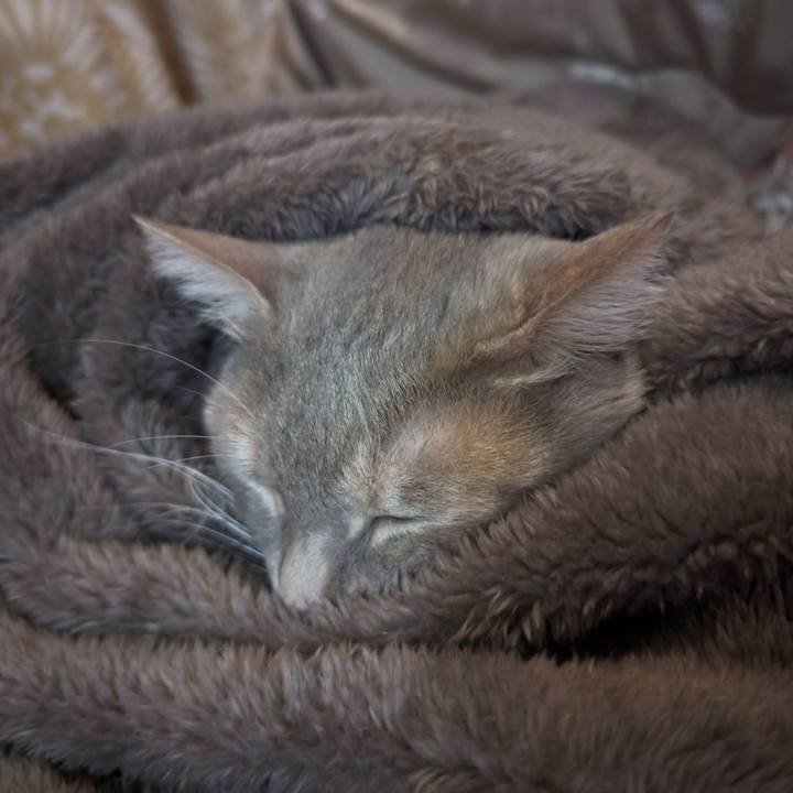 9b0def3a 4e4c 4caf a0e4 4efa5fabe2da 1711425911664