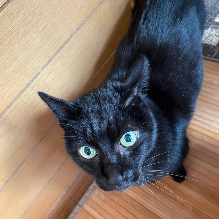 9b0e217c 9714 4ca0 808d 3e032e7cd563 1613007293840