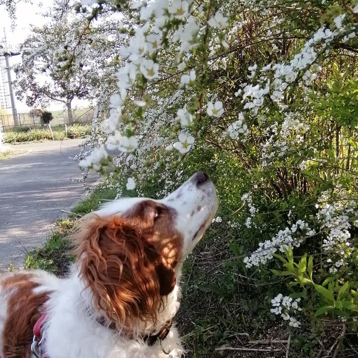 9b0e32a4 2ab0 40a0 8d7b f4688610ef24 1616819944428