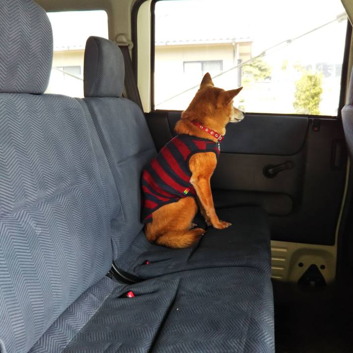 9b0e592e de50 490f 9b7b b1e090be73dd 1584160894967