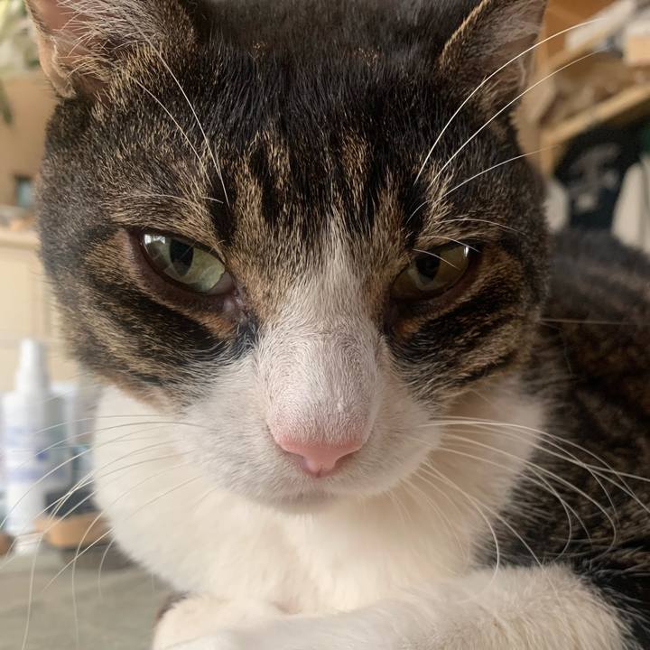 9b0e8415 4cab 4ac4 b391 790e26224ba3 1679801327128