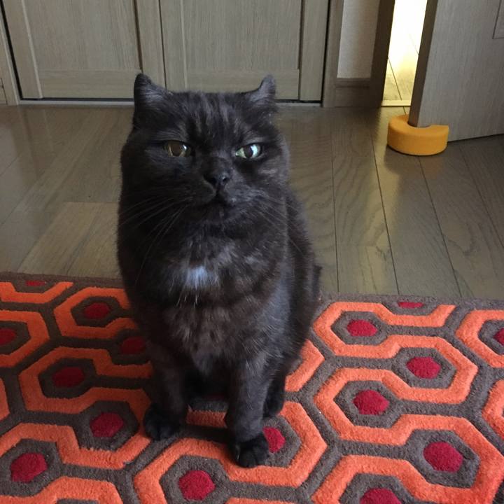 9b0eaf0a 70b1 4033 9c12 72d27902a215 1552784201698