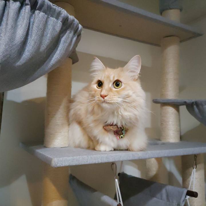 9b0f1f0d 8757 4444 aa33 cb9aeb3100aa 1704327886090